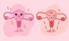 AMH0.02做试管能成功吗？如何提高AMH值