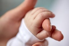 八大步骤解锁试管之旅，每一步都至关重要！