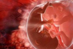 试管取卵是怎么操作的?试管取卵一般都能取到吗?