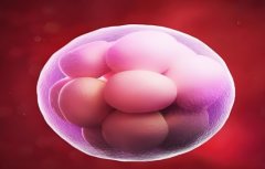 如何办理试管准生证?办理试管准生证需要哪些资料?