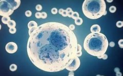 移植试管内膜需要满足什么?移植试管内膜有哪些注意事项?