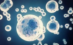 试管之旅：母亲面临的独特挑战