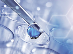 试管费用能否门诊报销？