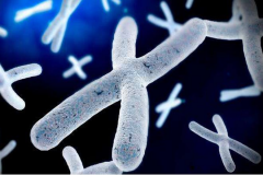 染色体异常可能有遗传风险，但可以通过技术来规避