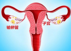 切除输卵管后，女性身体的秘密转变
