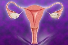 幼稚子宫妈妈试管成功，孕19周后的守护秘籍