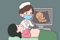 宝宝健康大侦探：排畸检查，为宝贝成长护航！