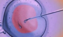实现生育梦想，成都私人医院试管婴儿技术怎么样？