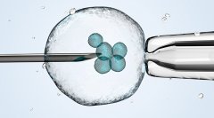 试管【方案详解】：什么是微刺激方案？