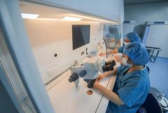 试管怎么做可以成功?一般需要做几次?