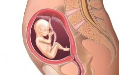 孕四个月有什么需要注意的?孕四个月会出现什么问题?