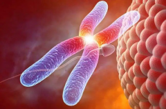 发烧也能移植胚胎？试管过程中的意外与医生专业建议！