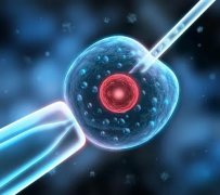 试管全程概览：时间规划到性别选择，三代技术助力男孩梦想