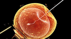 已自然生育，试管仍是可行选择