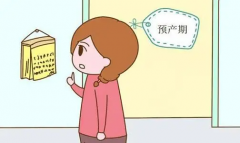 试管移植成功后如何计算预产期：科学预测宝宝的出生日期