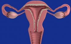 子宫腺肌症常见的不孕症，子宫腺肌症会影响试管受孕的成功率