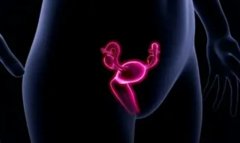 子宫内膜异位怎么办？试管技术可以改善子宫内膜病变