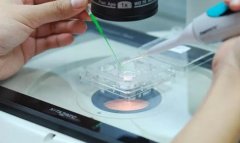 【三代科普】三代试管自带优势，选它就对了