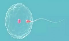 试管中的“定方案”