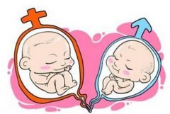 做试管怀上双胎需要注意这几点