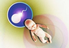 【不懂就问】做了三代试管还需要做无创DNA吗？