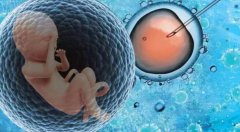 如果做三代试管助孕，能保证一次就成功吗？