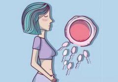 试管科普：试管失败后，希望渺茫时，还要继续吗？