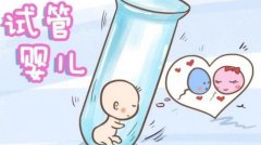 试管服务是否合法，国内国外要求并不相同