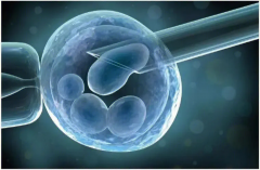 面对试管卵子少，这些策略助你应对挑战！