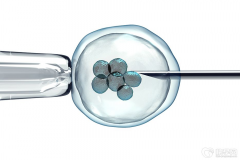 试管成功率提升秘籍：怀抱希望，迈向成功之路！