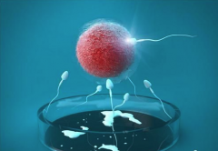 试管对身体健康的影响：全面解析，助您做出最适合的选择