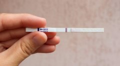 【科普知识】测怀孕，用试纸，您用对了吗?
