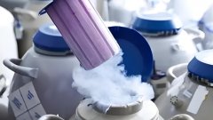 取卵后精卵不结合的原因是什么?取卵后精卵不结合怎么办?