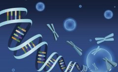 排卵不好也能试管吗?成功率高吗?医生告你有几成?