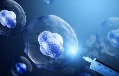 卵泡大小不均匀是怎么回事?会影响胎儿发育吗?