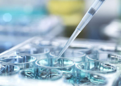 近亲结婚背景下，试管技术能否筛选健康胚胎？