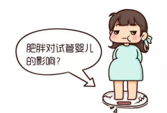 有关试管减肥，你需要知道这些事情！