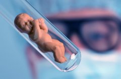 试管背后对女性身体的伤害你知道多少？