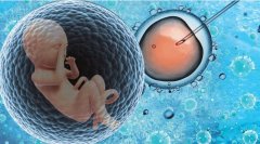 【干货】试管和自然怀孕的宝宝有什么区别？看完你就明白了！