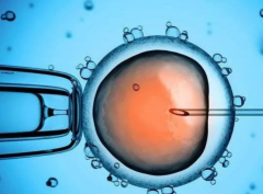 试管促排对卵子消耗的真相，深入了解促排过程的影响