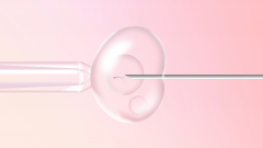 试管孕期4月：重要症状全解析，准妈妈需细心留意