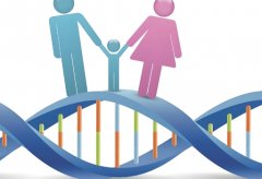 试管治疗能否应对抗精子抗体?试管治疗成功率高吗?