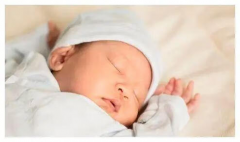 试管智力探秘，科学研究揭示的智力发展真相