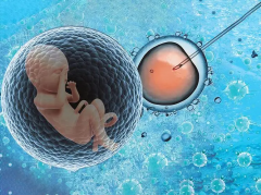 试管旅程日志：全周期亲历记与心路历程