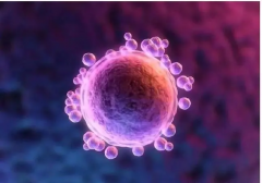 试管进周期后性生活指南，了解其对成功率的影响