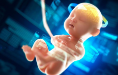 试管怀上了，多久胎儿才能稳定下来？