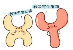 试管怎么选择性别，成功率高吗？
