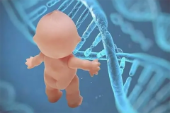 试管智商可能比普通孩子更高，试管宝宝更聪明