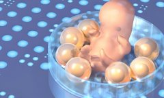 什么是试管胚胎5细胞?如何提高试管成功率?