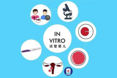 泰国试管之旅的小插曲：从失望的谷底到希望重燃的奇妙转折